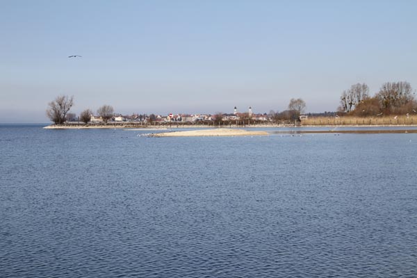 Seeuferreinigung_2018-03-24_IMG_8927.jpg